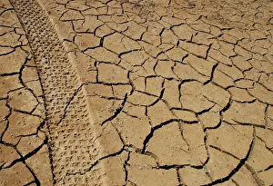 General Prints: Tracks left by a vehicle remain on the cracked earth of the drought-stricken Entrepenas