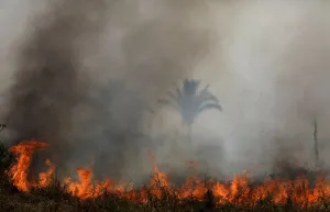 Prints of A tract of the Amazon jungle burns as it is cleared by loggers and farmers in Porto Velho, Brazil August 24, 2019. REUTERS/Ueslei Marcelino Brazil Prints: Tract of the Amazon jungle burns as it is cleared by loggers and farmers in Porto Velho