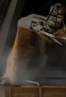 Trump Prints: Tractor trailer is loaded with corn imported from Brazil at a warehouse in Tuxpan