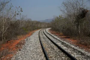 Bolivia Prints: Train tracks that link Santa Cruz and Corumba, Brazil are seen in an area where wildfires