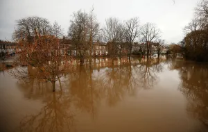 Prints of Trees are reflected in flood water on Huntingdon Road in York after the river Ouse burst its banks, in northern England, December 28, 2015. REUTERS/Andrew Yates TPX IMAGES OF THE DAY Britain Prints: Trees are reflected in flood water on Huntingdon Road in York after the river Ouse burst