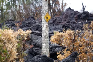 A No Trespassing sign hangs from a tree in a lava flow in the Leilani Estates A No Trespassing sign hangs from a tree in a lava flow in the Leilani Estates