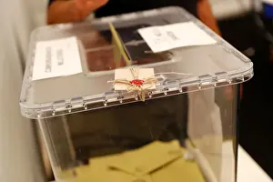 Turkish voters living in Germany cast their votes on Turkeys presidential