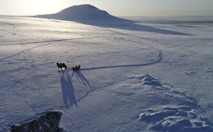 Prints of An aerial view shows Tuvan shepherds, who travel on a sledge harnessed with an Asian two-humped camel in the snow-covered steppe Russia Prints: Tuvan shepherds travel in the snow-covered steppe near Kyzyl town in the Republic of Tuva