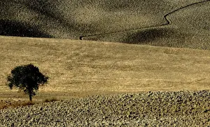 A typical landscape in the Val d Orcia close to the Tuscan town of Montalcino