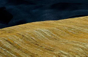 Landscapes Prints: A typical landscape in the Val d Orcia close to the Tuscan town of Montalcino