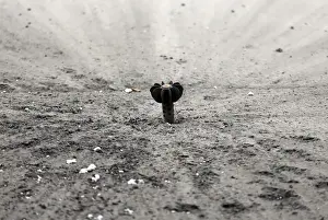 An unexploded mortar shell fired by Syrian Army is seen in Mleha suburb of Damascus