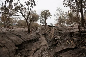 Guatemala Prints: A view of an affected area after the eruption of the Fuego volcano in San Miguel