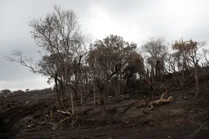 Guatemala Prints: A view of an area affected by a lahar from Fuego volcano at El Rodeo
