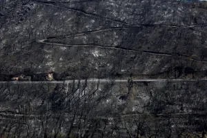 Images Dated 2018 August: View of a burned forest next to the village of Monchique