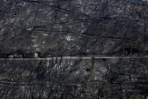 Images Dated 2018 August: View of a burned forest next to the village of Monchique