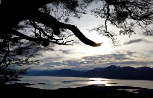 Latin America Prints: A view of the city of Puerto Williams is seen in Chile
