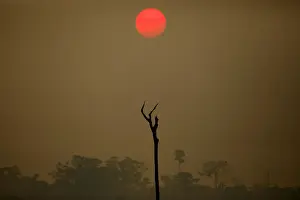 A view of a deforested area at the National Forest Bom Futuro in Rio Pardo