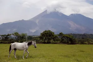 Guatemala Prints: A view of the Fuego volcano in San Miguel, Escuintla, Guatemala