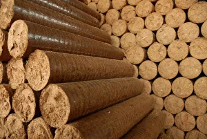 A view of logs made from the sawdust collected from the mills that cut Amazon trees