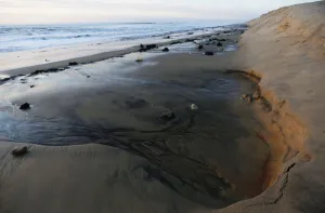 Climate Prints: A view shows a damaged sand dune due to the erosion on the Atlantic Ocean coastline in