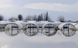 Macedonia Prints: A view shows a flooded garden in Murtino