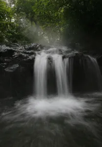 A view of a waterfall in the protected forest at the Welirang mountain in Malang A view of a waterfall in the protected forest at the Welirang mountain in Malang