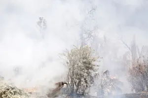 Images Dated 15th May 2018: Volcanic gases rise from a fissure in the Leilani Estates subdivision during ongoing