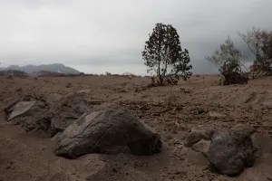 Guatemala Prints: Volcanic rocks are seen after the eruption of the Fuego volcano at El Rodeo in Escuintla