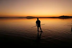 Animal Prints: A volunteer wades across the lagoon at dawn to gather flamingo chicks