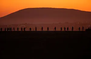 Animal Prints: Volunteers wade across the lagoon at dawn to gather flamingo chicks