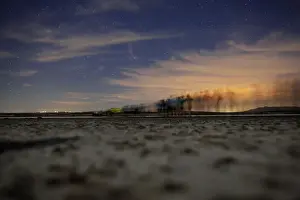 Volunteers wade in line across a lagoon during the night to gather flamingo chicks