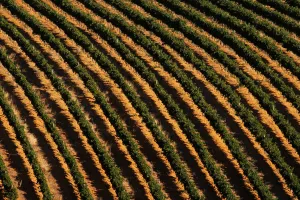 Safrica Prints: The Wider Image: Cape Town dreads Day Zero when taps will run dry