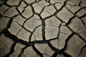 Safrica Prints: The Wider Image: Cape Town dreads Day Zero when taps will run dry