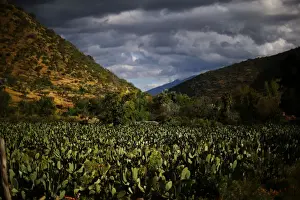Environment Prints: The Wider Image: Chiles tiny Til Til faces big trash problem