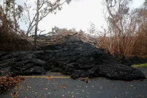 Hawaii Prints: The Wider Image: Cut off by lava, pot growers refuse to let go dream