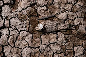 The Wider Image: Fishermen cry foul as China bids to fix drought-hit lake