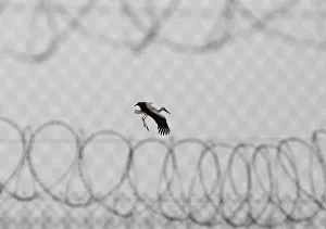Election Prints: The Wider Image: In Hungary, one fence comes down, another goes up