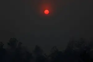The Wider Image: Indonesias firefighters on frontline of Borneos forest blazes