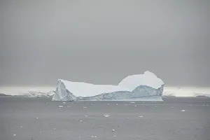 Climatechange Prints: The Wider Image: Journey to Antarctica: seals, penguins and glacial beauty