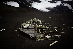Climatechange Prints: The Wider Image: Journey to Antarctica: seals, penguins and glacial beauty