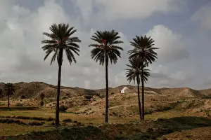 Tunisia Prints: The Wider Image: Last residents hold on in Tunisias underground houses