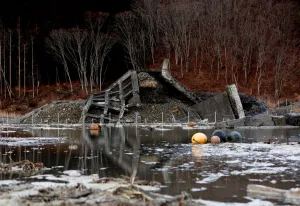 Disaster Prints: The Wider Image: After tsunami, some Japanese are feeling walled-in