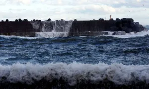 Disaster Prints: The Wider Image: After tsunami, some Japanese are feeling walled-in