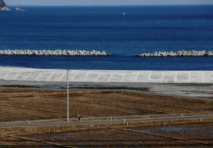 Disaster Prints: The Wider Image: After tsunami, some Japanese are feeling walled-in