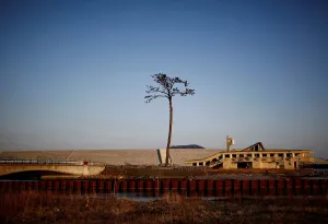 Disaster Prints: The Wider Image: After tsunami, some Japanese are feeling walled-in