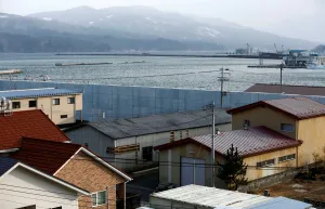 Disaster Prints: The Wider Image: After tsunami, some Japanese are feeling walled-in