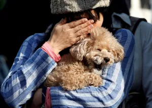 Japan Prints: Woman attends a moment of silence at 2: 46 p. m. the time when the magnitude 9