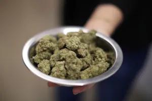 Marijuana Prints: A woman holds marijuana for sale at the MedMen store in West Hollywood