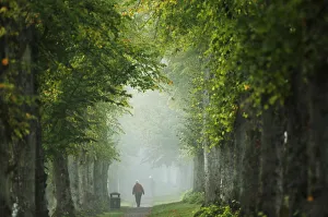 Prints of A woman walks through autumn mist at Arundel in Southern England October 7, 2013. REUTERS/Luke MacGregor (BRITAIN - Tags: ENVIRONMENT TPX IMAGES OF THE DAY) Britain Prints: A woman walks through autumn mist at Arundel in Southern England