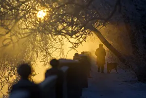 Prints of A woman walks with a dog on the embankment of a river, with the air temperature at about minus 23 degrees Celsius (minus 9.4 degrees Fahrenheit), in Moscow, December 24, 2012 Russia Prints: A woman walks with a dog on the embankment of a river in Moscow