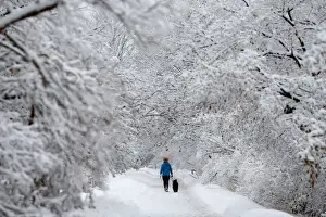 A woman walks a dog on a snow-covered path beside the Rideau Canal in Ottawa