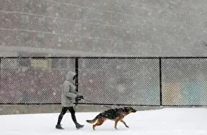 Weather Prints: A woman walks a dog in upper Manhattan during a snowstorm in New York City