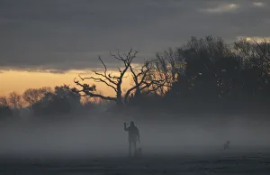 Prints of A woman walks dogs through morning mist in Quorn, Britain, November 8, 2016. REUTERS/Darren Staples TPX IMAGES OF THE DAY Britain Prints: A woman walks dogs through morning mist in Quorn