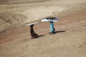 India Prints: Women carry pieces of a temporary roof to rebuild their houses after Cyclone Phailin hit